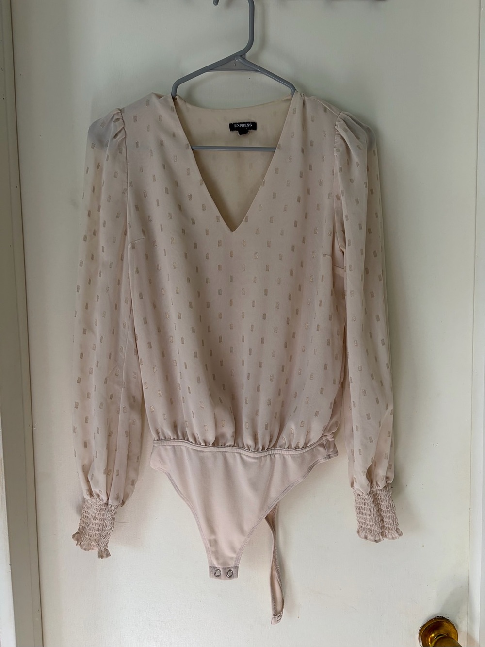 Express Cream Semi-Sheer V-Neck Long Sleeve Bodysuit